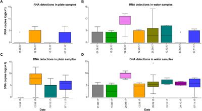 Linking Environmental DNA and RNA for Improved Detection of the Marine Invasive Fanworm Sabella spallanzanii